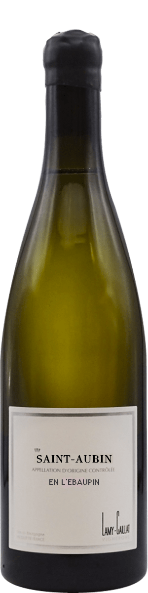 Lamy Caillat Saint Aubin en L'Ebaupin 2022