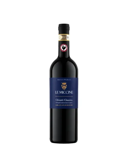 Le Miccine Chianti Classico Gran Selezione 2020 - Chianticlassicogranselezione20202 1 - 296